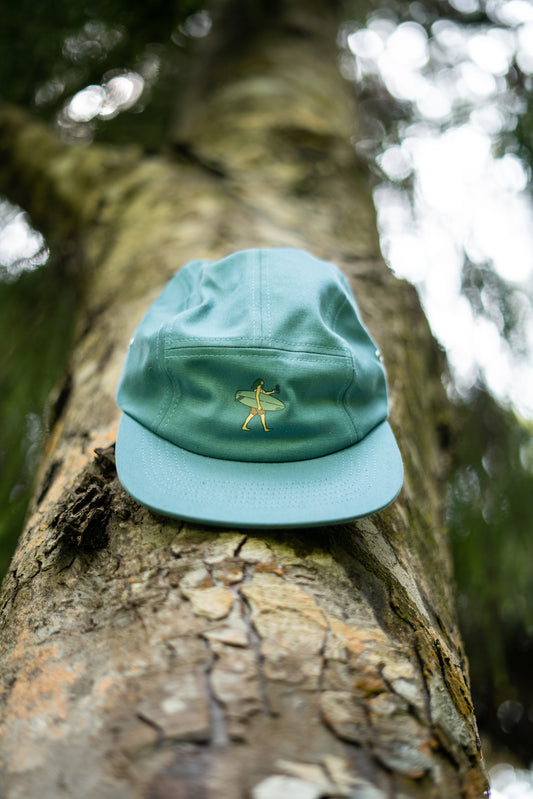 Aotea Roast 5 Panel