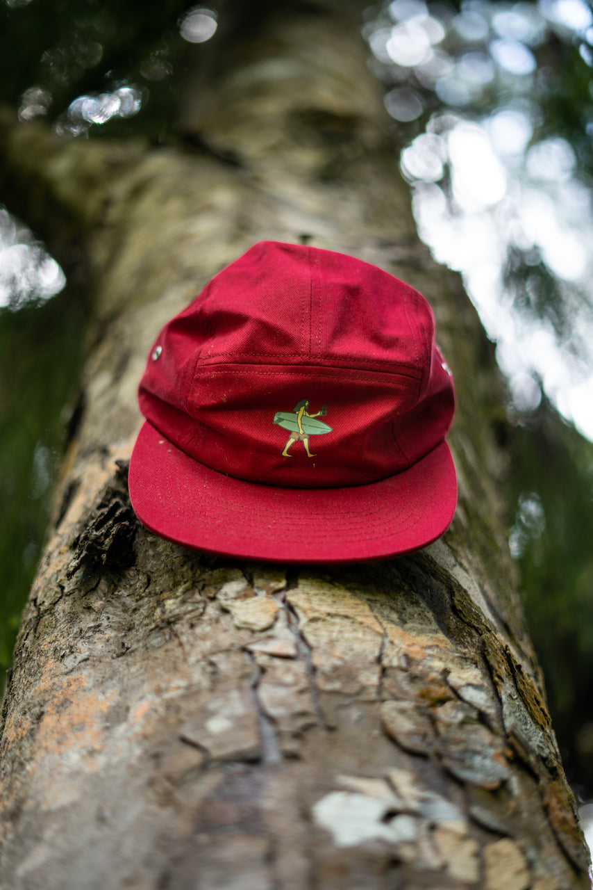 Aotea Roast 5 Panel